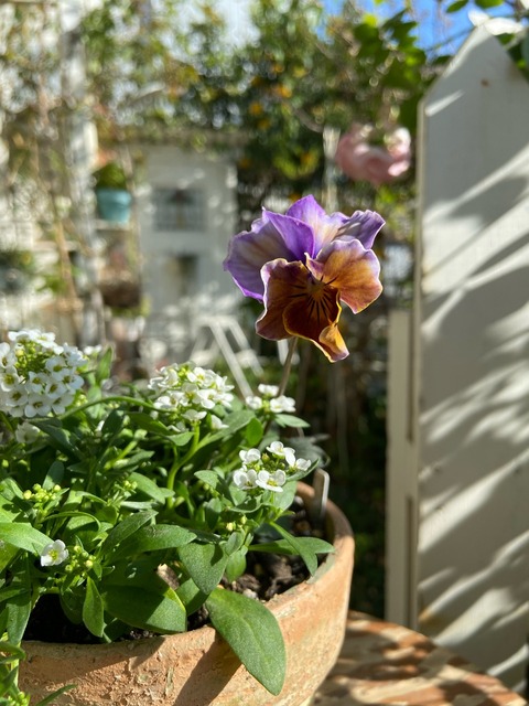 IMG_5859