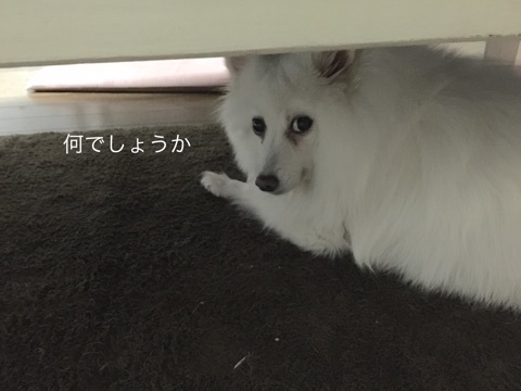 {4B545F2A-51C9-47C8-8682-9F3153DF8081}