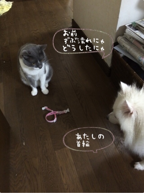 {5B16211C-42DB-49D6-BFBB-4D3288BA8570:01}