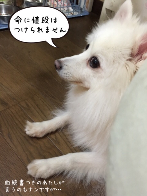 {90008708-90CF-454D-A652-D1626E5A2D8A:01}