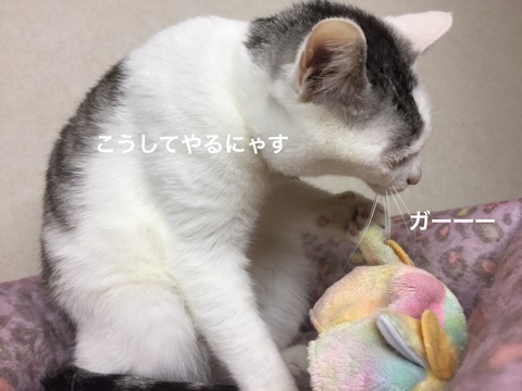 {DA3DB1C5-936E-4622-965C-13A07B71E0EF}