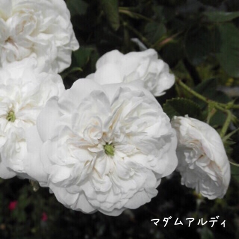 {E5BD82C5-1DD7-417A-8CA6-7431B32D2AAB:01}