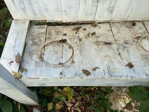 FullSizeRender