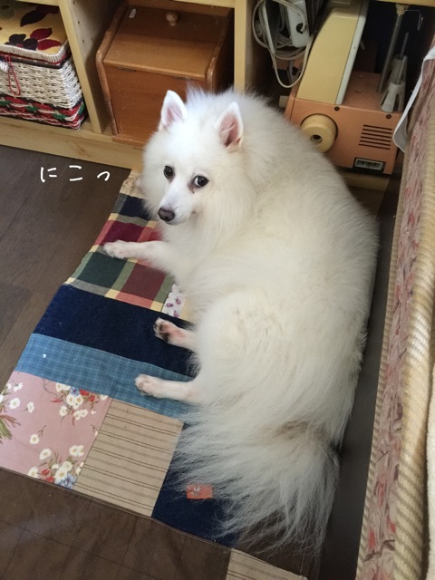 {869940DD-12E8-467C-8997-3B5C0390A96F:01}