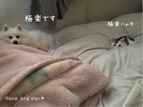{EAAA9864-48B3-4F74-A08F-02250C63EB3D:01}