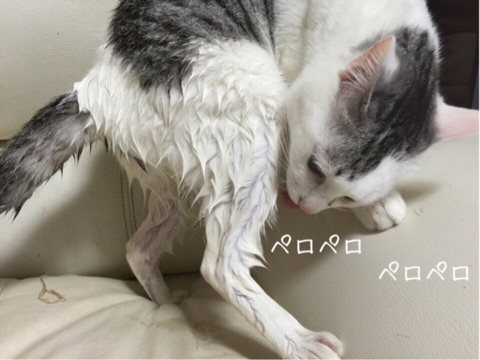 {6E936183-5CE0-45EF-8419-8FC4F799828E:01}