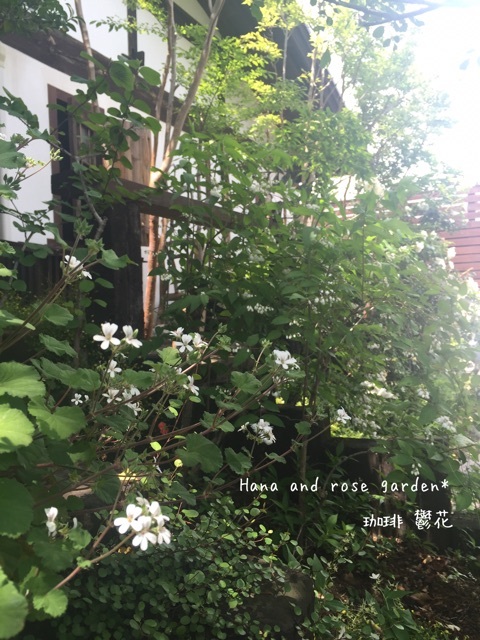 {4AB70342-A6CA-462F-AD82-52B91EDEFB61}