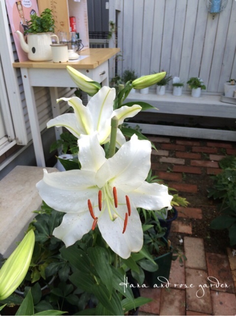 {F853956A-F939-4499-BFC6-FC131A48D9C0:01}