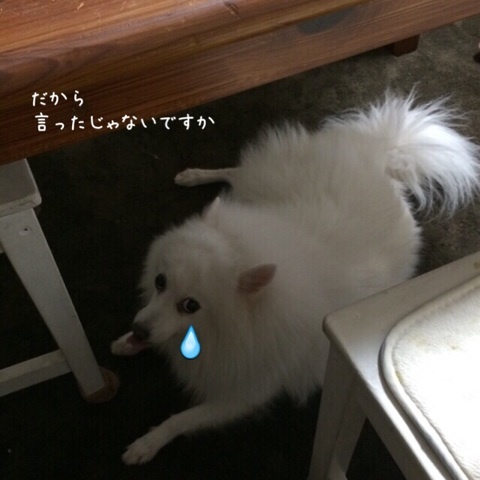 {5D702CE5-0BD1-49CE-B895-464184799171:01}