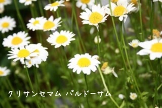 {E3E1D56B-973D-4299-8EE8-4E465288D7C0:01}