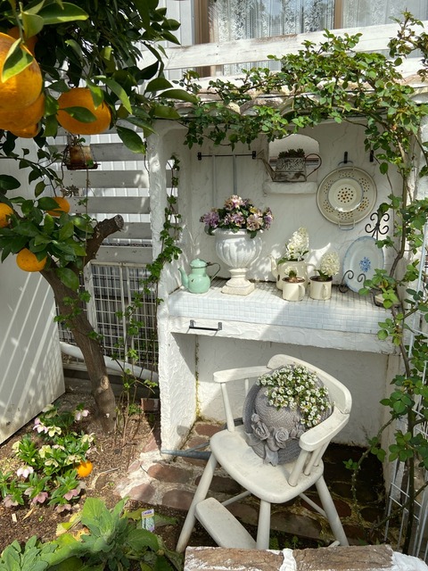 ◆ハーバリウム ＃160 ニゲラ咲く小さなお庭.:*:・' ◇ハーバリウム ＃160 ニゲラ咲く小さなお庭.:*:・' ◇ハーバリウム