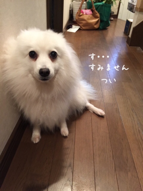 {2FEF1A99-C107-4ED1-A688-8A152A501063:01}