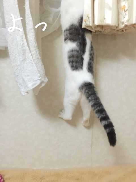 {77F59A0A-AA59-44DB-AA8F-3F25FA929EA7:01}