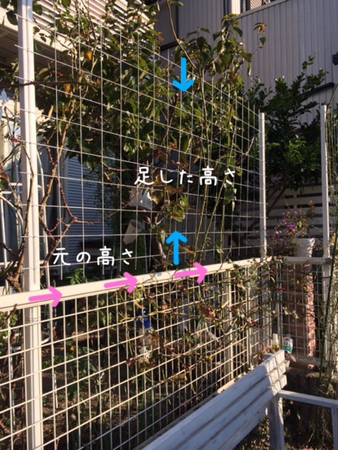 {711A9C2E-EF63-42A1-BE59-120E2C2CE5E1:01}