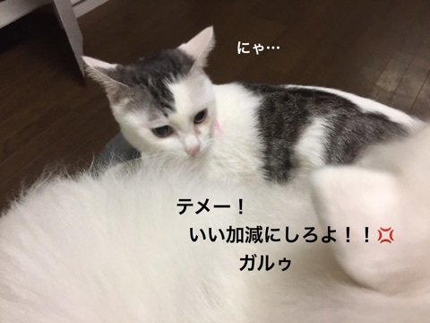 {7C96127E-59CA-458F-A6F3-C7FA054933C0}