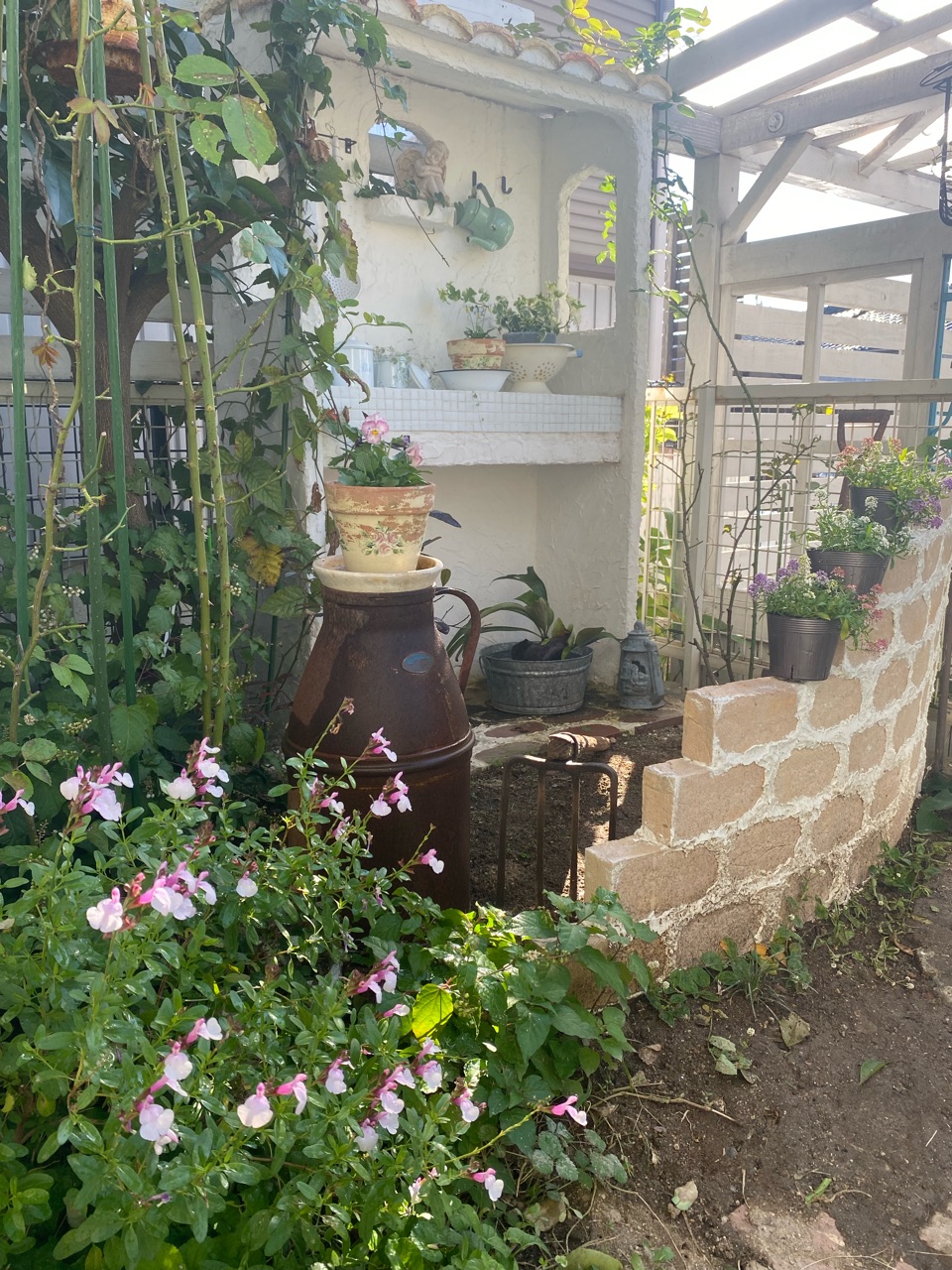 10月最後朝の小庭 早朝の贈り物 のばらのガーデニングブログ Hana And Rose Garden Powered By ライブドアブログ