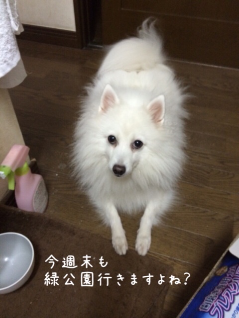 {AE7BA56D-E539-4C2B-952C-DF0A7F2557AA:01}