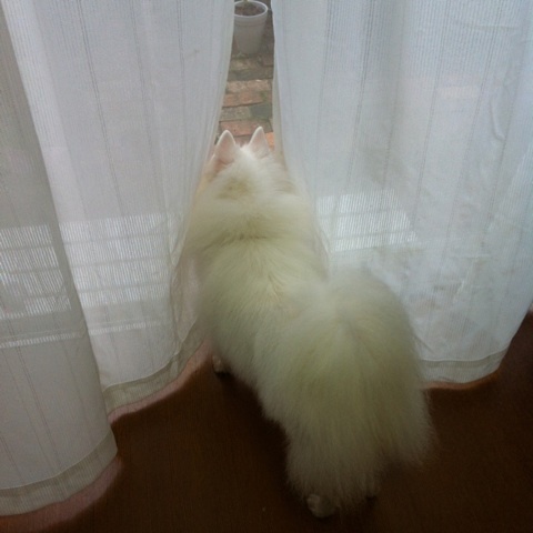 photo:03