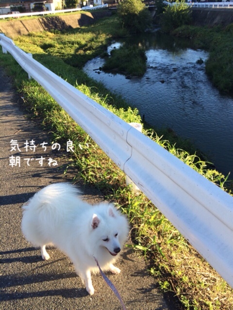 {E710BE0D-C6D5-476A-A691-8EF36546DC7E:01}