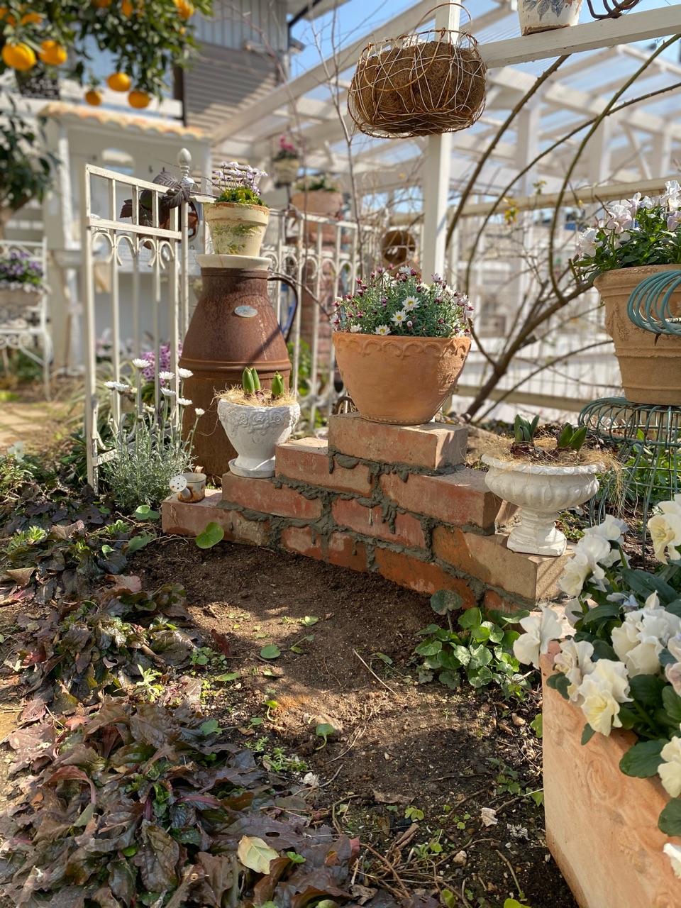 平坦な花壇にレンガの花台を作って立体感を出しました のばらのガーデニングブログ Hana And Rose Garden Powered By ライブドアブログ