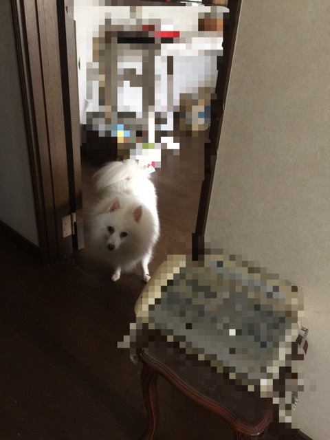{EF4491D0-E1B6-4351-A592-B631CBE778C2}