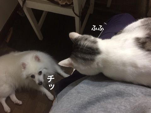 {3D511D24-638C-4D95-B483-356C5DCC3D3D}