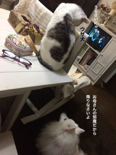 {87C27A93-D0DD-4790-9885-292DB00FB1DA}