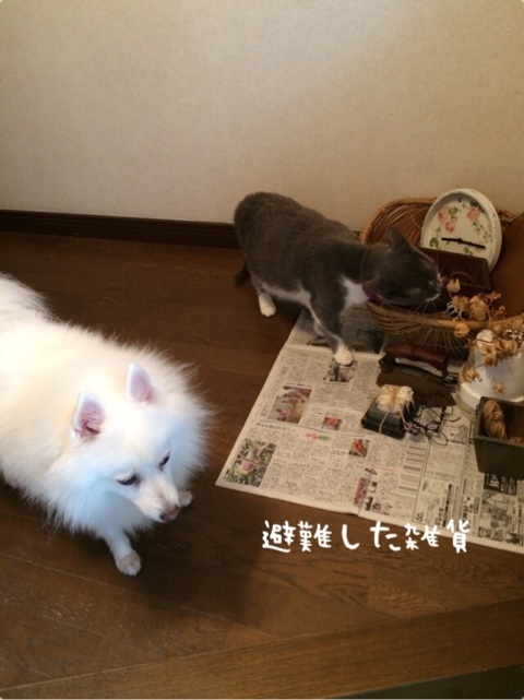 {10F16858-614B-4D73-87E8-CCCFA20F73A0:01}