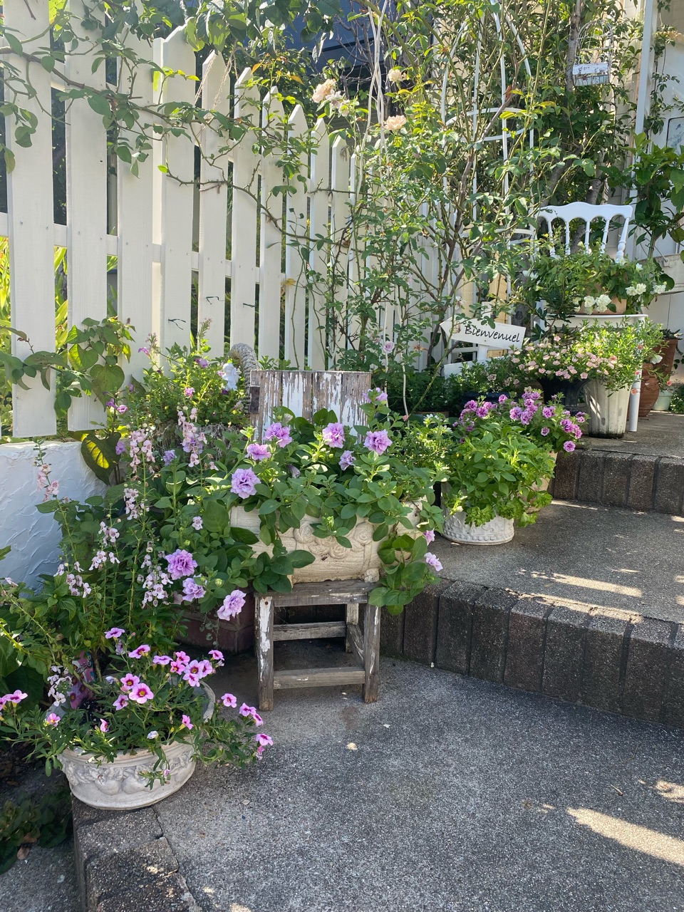 アプローチの花 三階建てになりやした のばらのガーデニングブログ Hana And Rose Garden Powered By ライブドアブログ