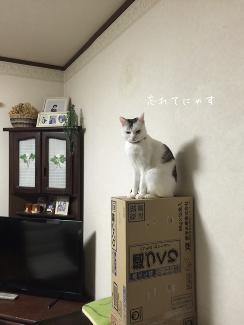 {E5DBE079-4DD4-4A66-B5C0-2A28635C72C7:01}