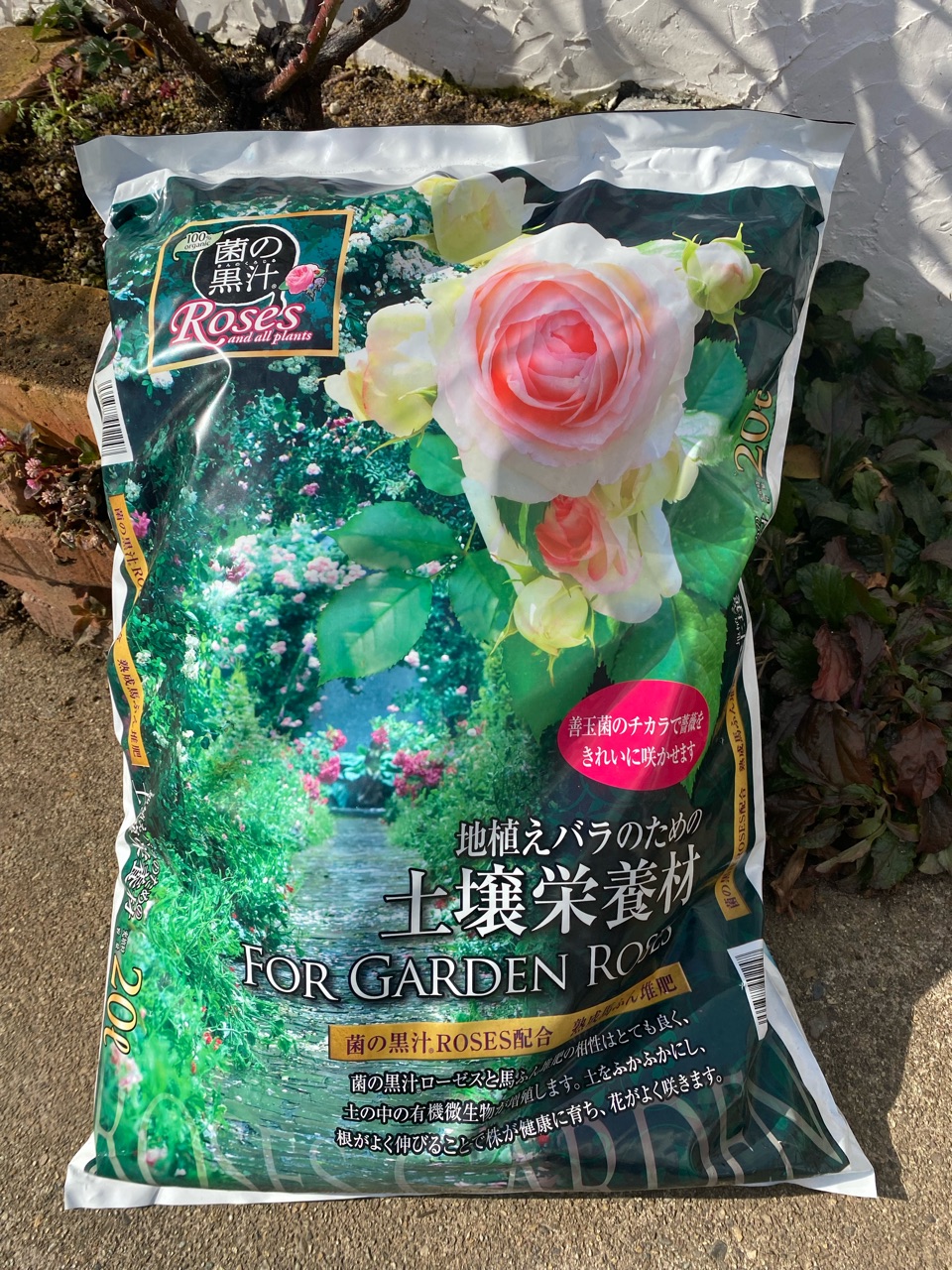 バラの寒肥 のばらのガーデニングブログ Hana And Rose Garden Powered By ライブドアブログ