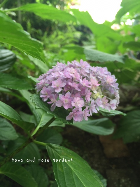 {721AE143-46AA-46EB-B78C-996F7CD5DD5F}