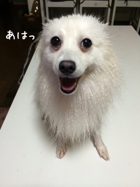 {A9E01B5F-6A68-4E60-8C76-462E017107BF:01}