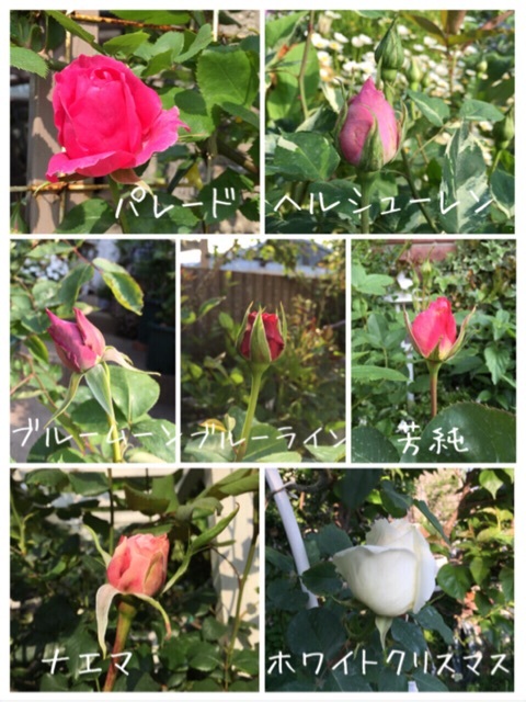{041052A6-B640-44BD-BF41-75FF6E3CDCC2:01}