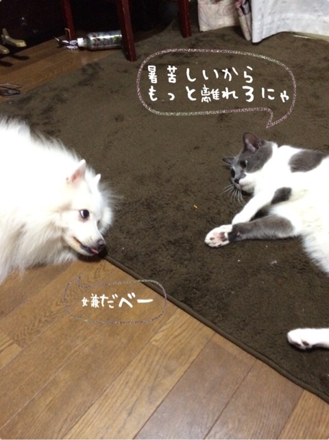 {6D974C82-C186-4507-8F2E-828E7A91BC3B:01}