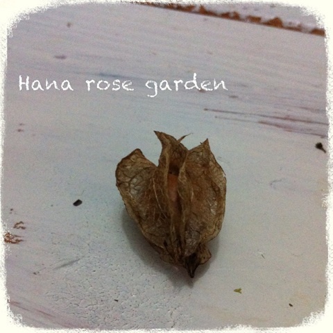 photo:05