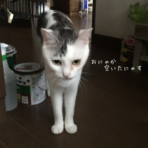 {594D90C1-BB33-4D9D-809C-1EE7049F16B7}