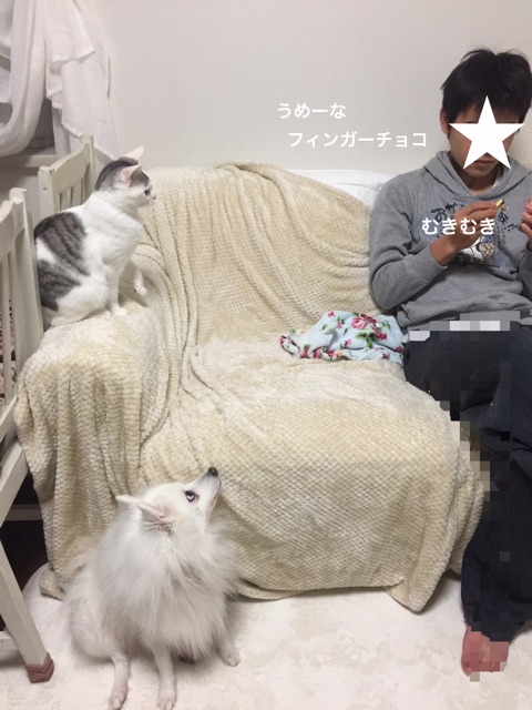 {2C594CC4-9DA2-4CF9-B114-ADBFD24ACBC9}