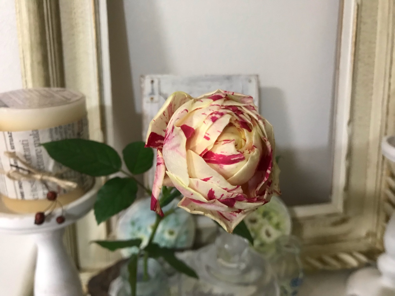 欲しかったバラの切花 ラナンキュラシリーズ のばらのガーデニングブログ Hana And Rose Garden Powered By ライブドアブログ 欲しかったバラの切花 ラナンキュラシリーズ のばらのガーデニングブログ Hana And Rose Garden Powered By ライブドアブログ