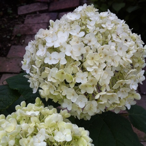photo:03