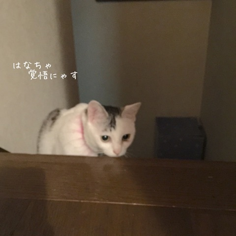 {2F3CDD79-567A-46AA-BB41-2B75F4F539DB}