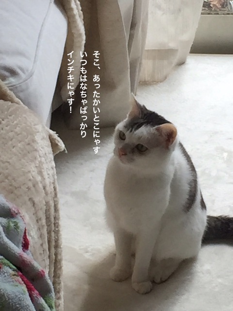 {DE539649-183A-40C8-A43E-35C19F6C79A1}