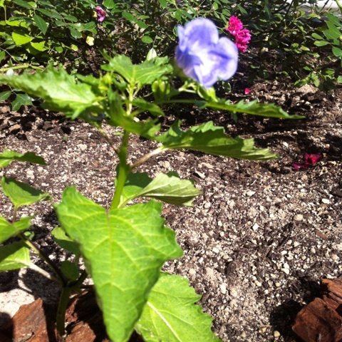 photo:03