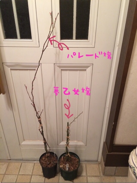 {BDF08110-93D8-40CF-88E7-B03EE46B94E2:01}