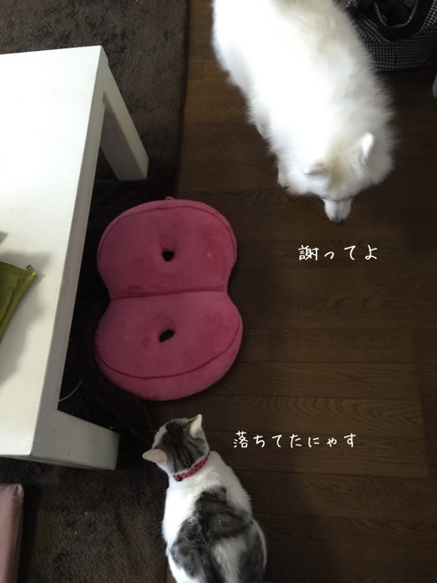 {65A1C983-CDCD-44B5-9F2B-36A0C4059B70:01}