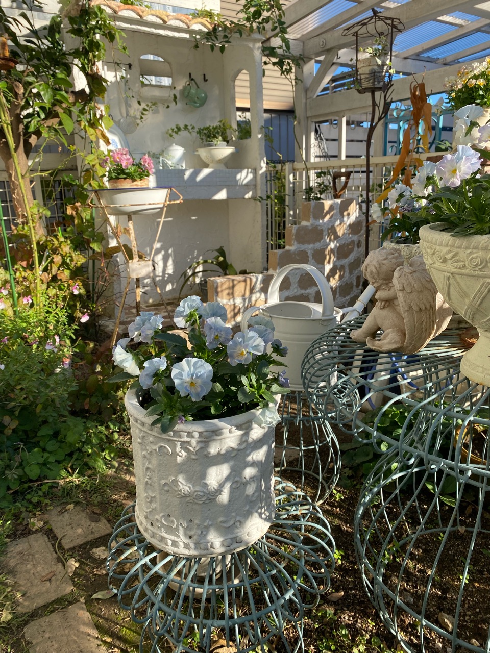 綺麗な水色 ビオラのお花が増えて来ました たまに我儘がまたかわゆい のばらのガーデニングブログ Hana And Rose Garden Powered By ライブドアブログ