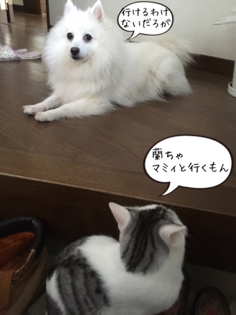{D449D48D-3861-4A39-BA30-47838E9A9137:01}