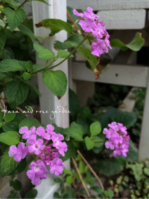 {CF9B5AB0-5030-4BDB-AB92-A9A7B784451D:01}