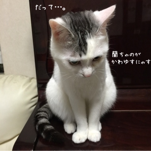 {D637BB6D-0AFF-43F3-BA04-A9D24288B37F:01}