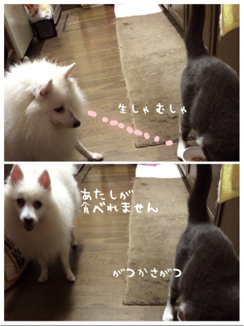 {F6E0E1D3-2D08-47FC-A5E6-F66EC9B6DD41:01}